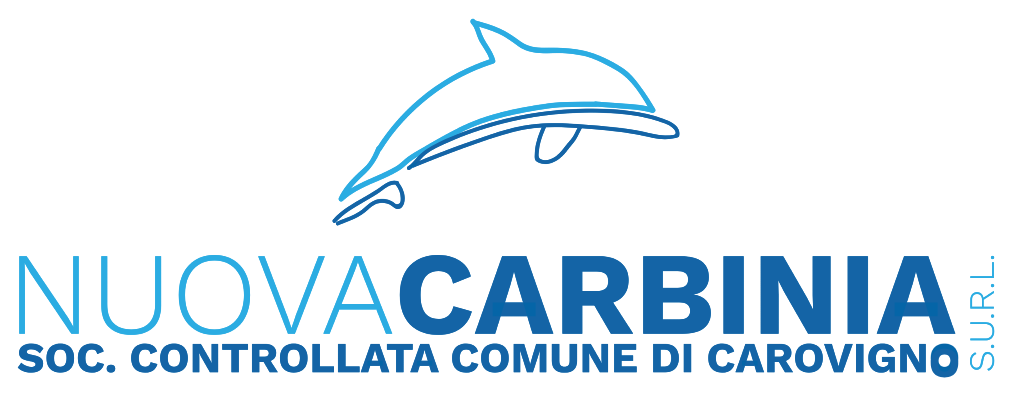 Logo Nuova Carbinia surl